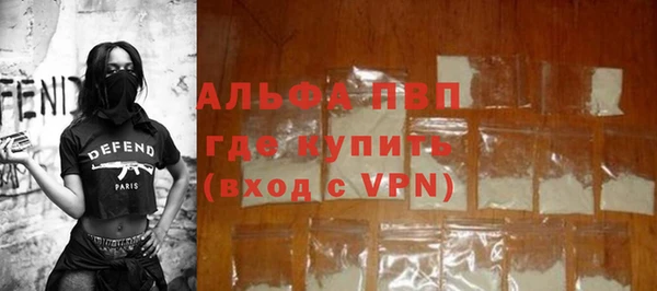 стафф Надым