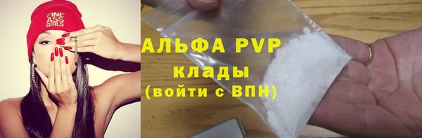 стафф Надым