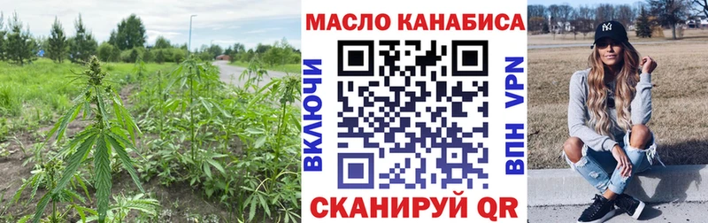 Дистиллят ТГК THC oil сколько стоит Мирный