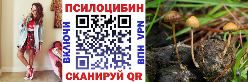 Галлюциногенные грибы Magic Shrooms  Мирный 