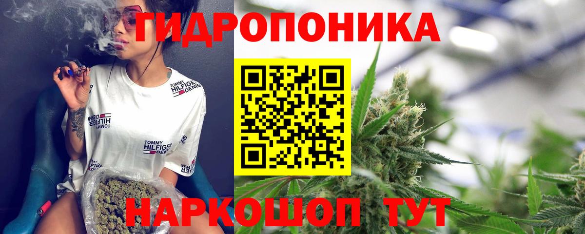 Каннабис планчик  Шишки марихуана ГИДРОПОН  Вход с VPN  Мирный  Каннабис OG Kush  Бошки марихуана AK-47 