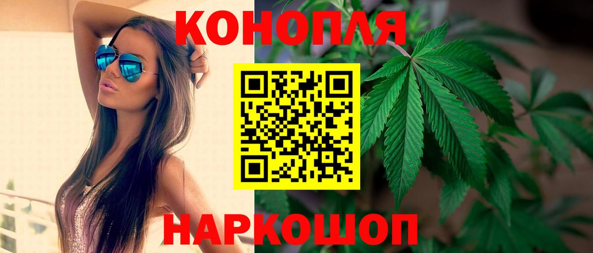 Конопля индика Мирный